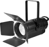 WW CW Fresnel Spotlight